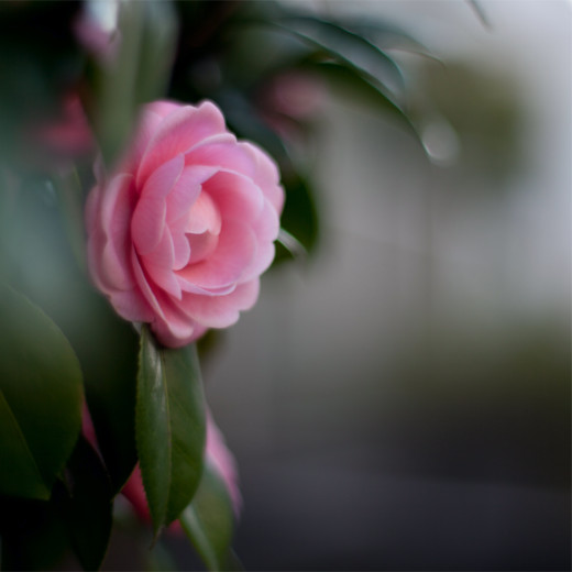 689403 (a): :1920x1920
